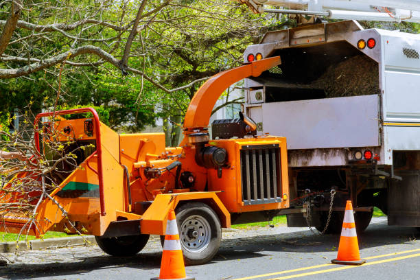 Best Seasonal Cleanup  in Old Tappan, NJ